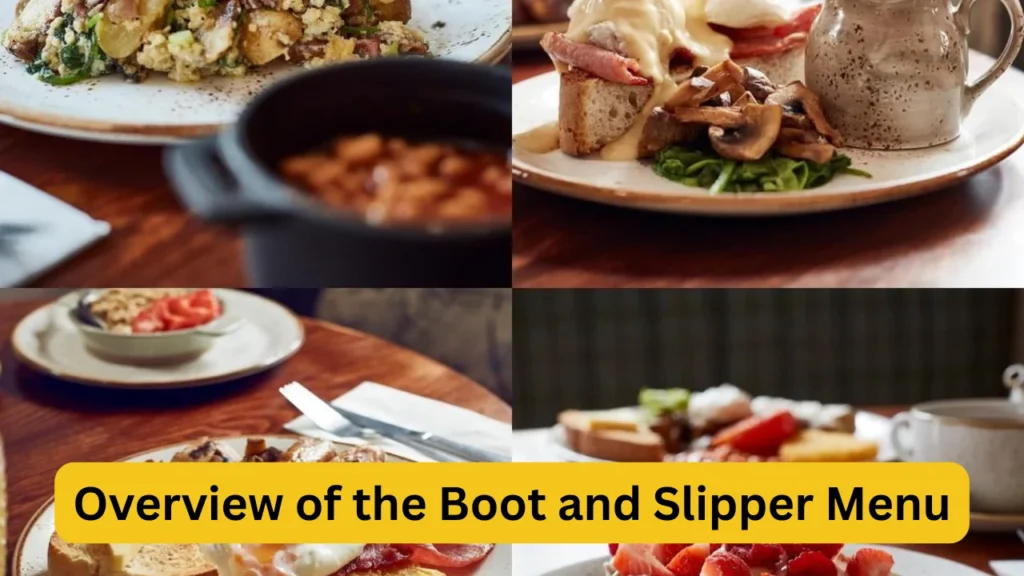 Overview of the Boot and Slipper Menu