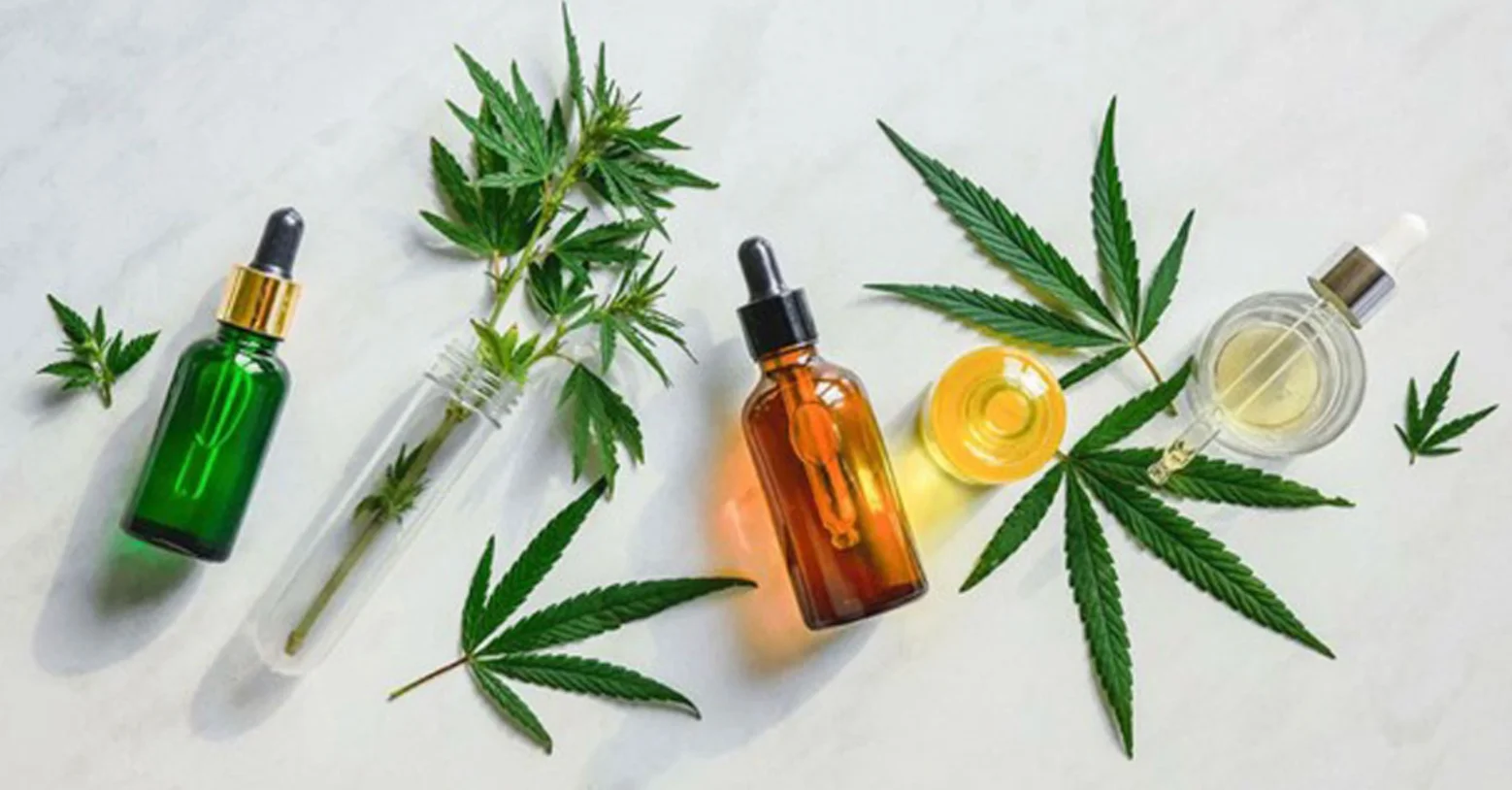CBD Oil vs CBD Flower in the UK