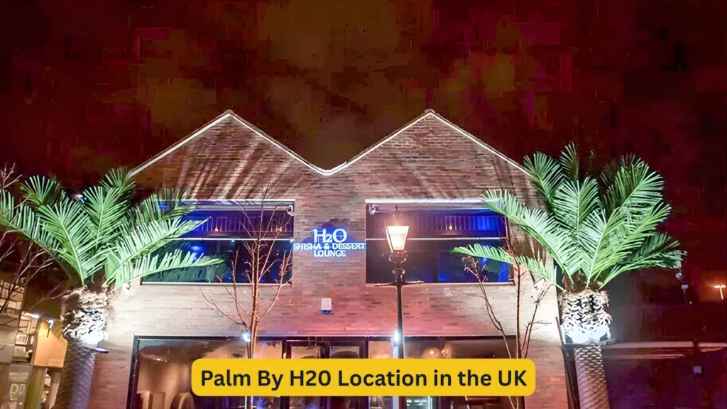 Palm By H20 Location in the UK