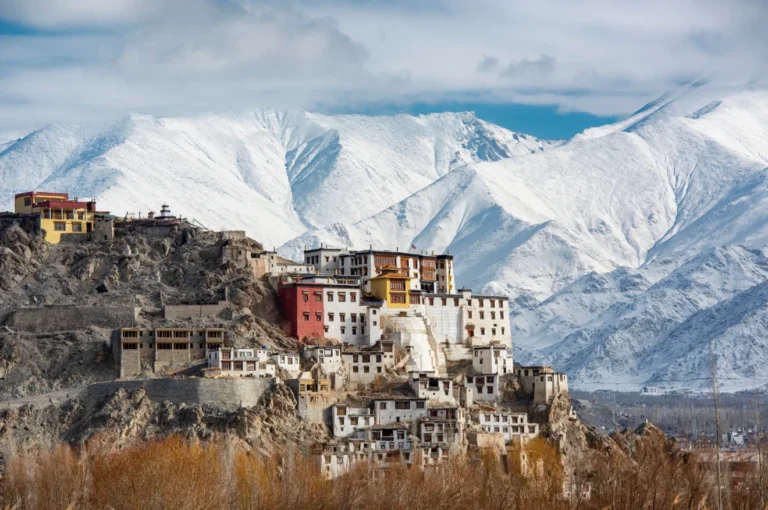 Best Time to Visit India for Weather, Festivals and Value