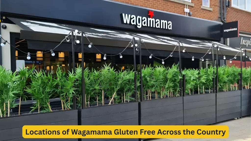 Locations of Wagamama Gluten Free Across the Country