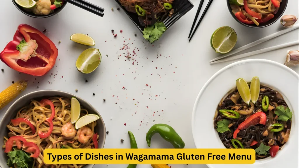 Types of Dishes in Wagamama Gluten Free Menu