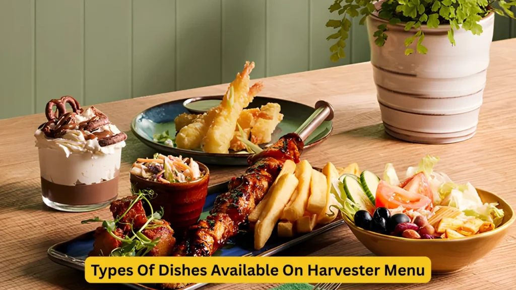 Types Of Dishes Available On Harvester Menu